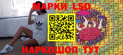 амф Гусев