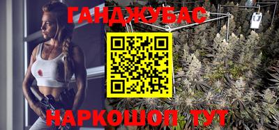 амф Гусев