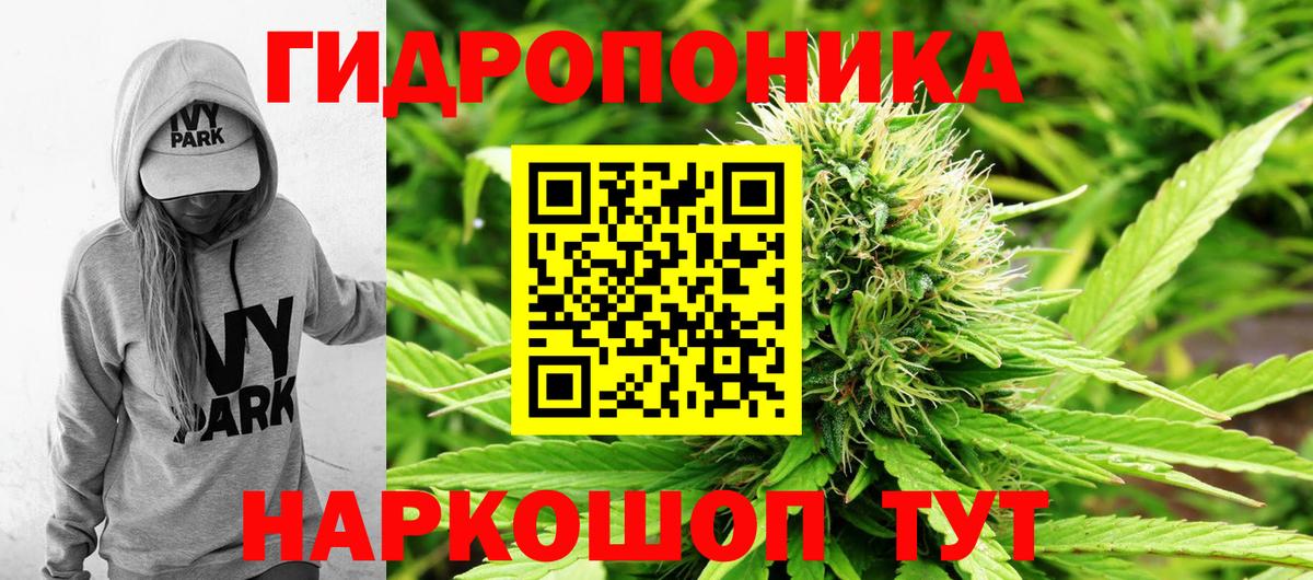 Бошки Шишки Amnesia  Бошки Шишки гибрид  Бошки марихуана SATIVA & INDICA  Волжск  Бошки Шишки VHQ 